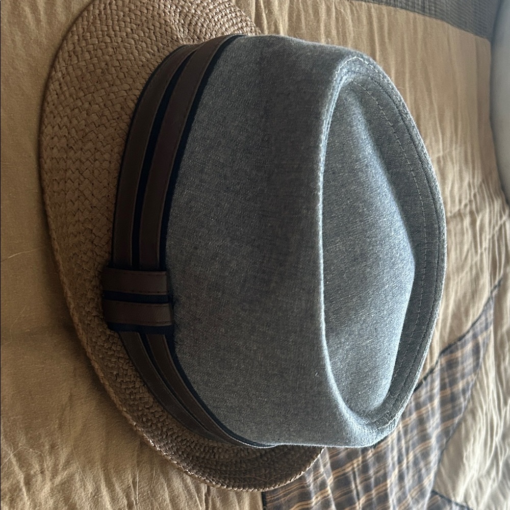 Wilsons Leather Gray and Brown Fedora Hat